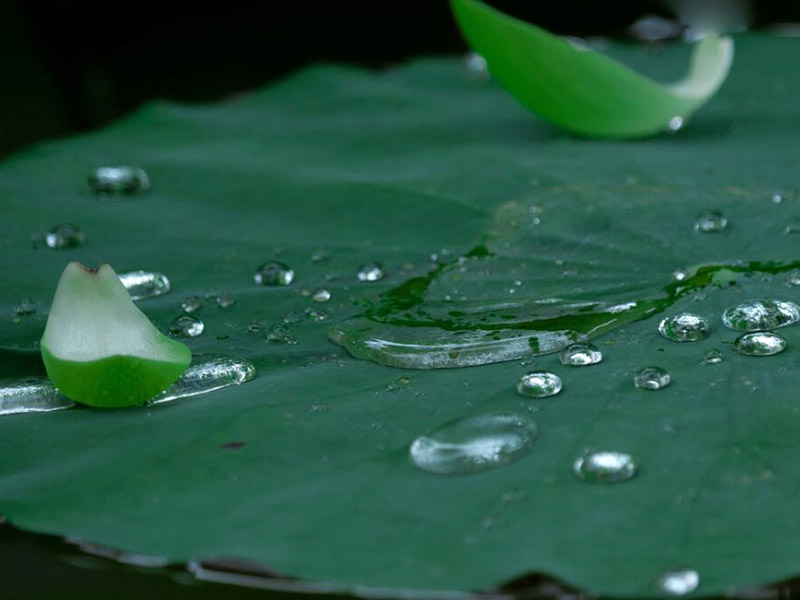 生活饮用水二次供水的水质检测频率