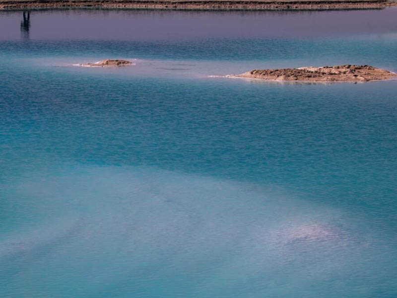 便携式快速氨氮测定仪厂家（便携式快速氨氮测定仪多少钱）